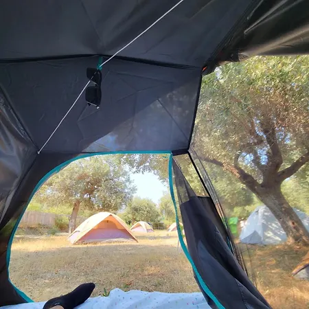 Hotel Camping Borsh *