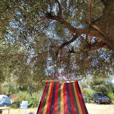 Camping Borsh Borsh