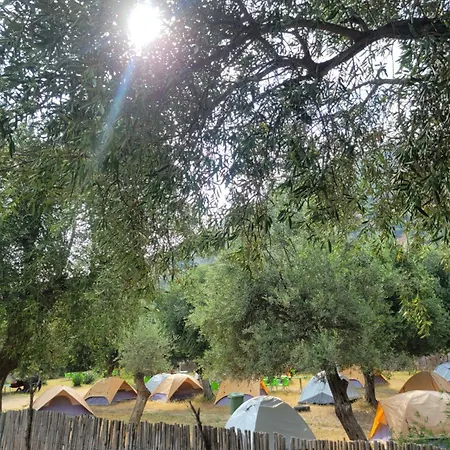 Camping Borsh *